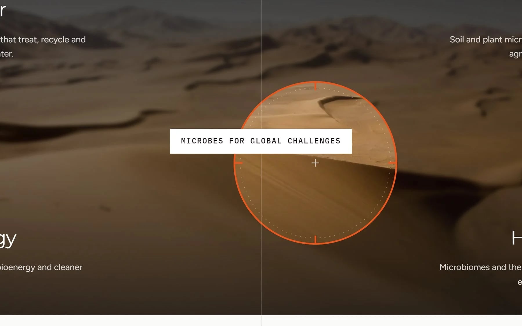 The microscope lens bringing a circle of a desert photo into focus