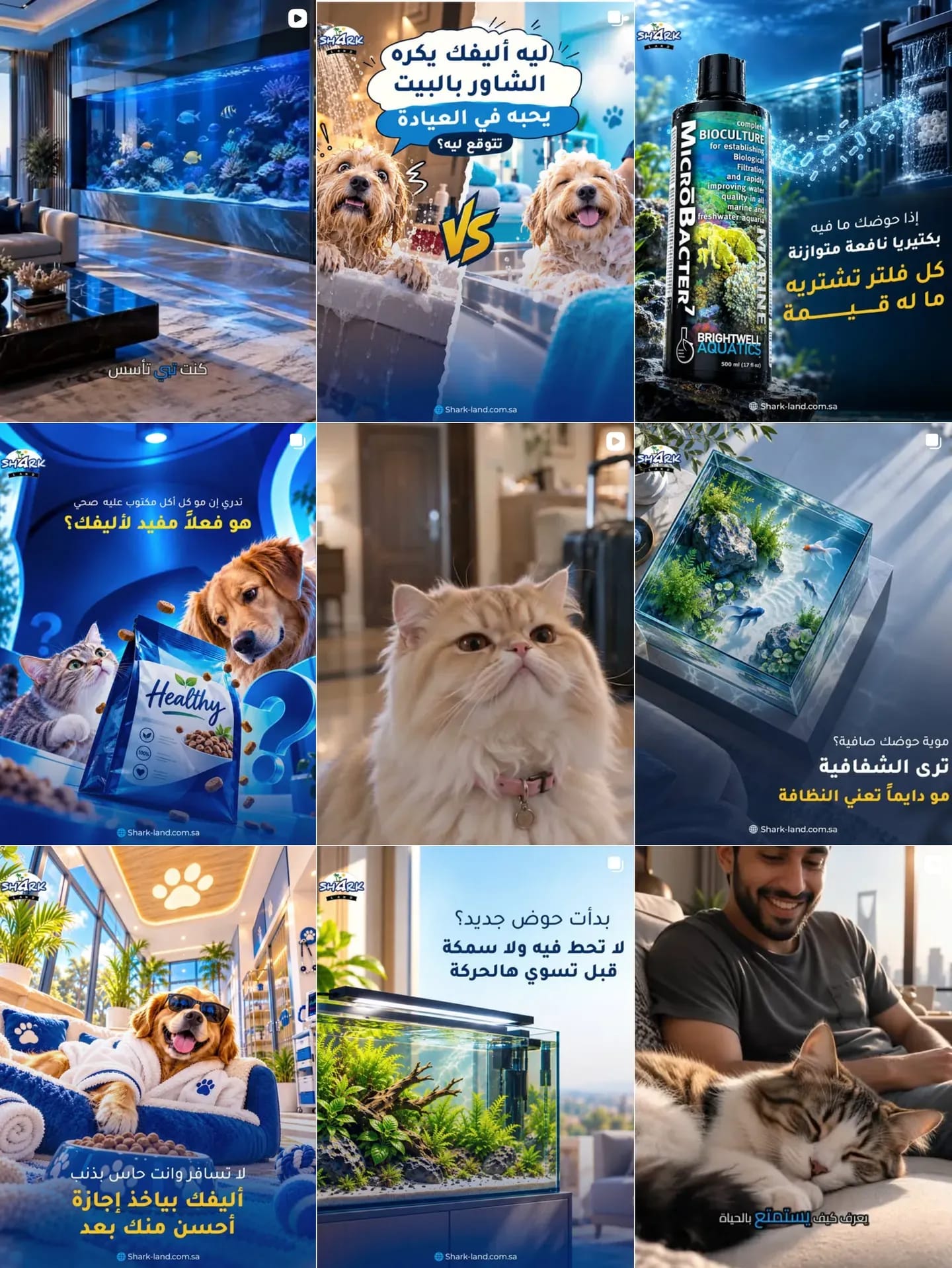 The Shark Land Instagram grid