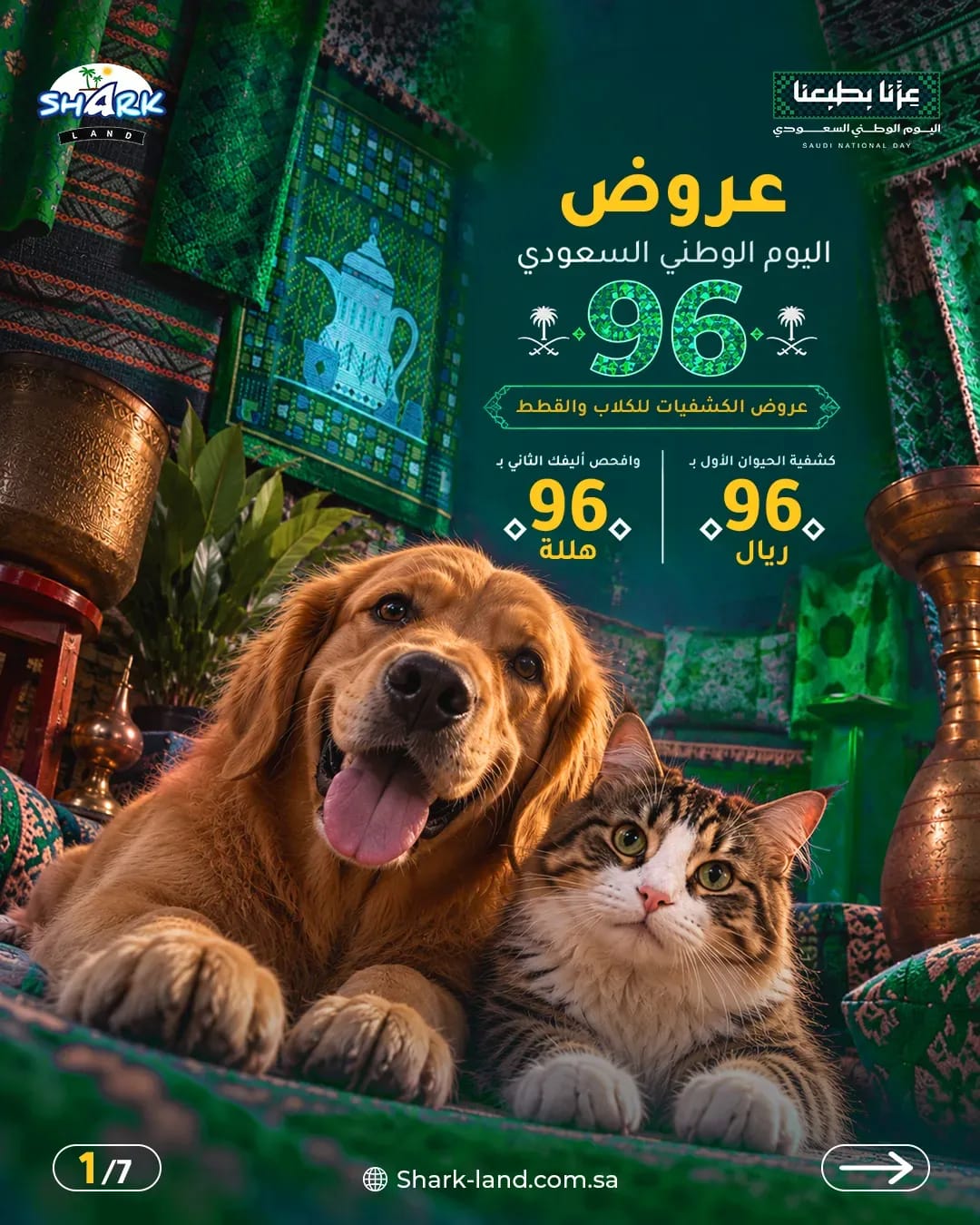 National Day 96 offers: check-up for 96 riyals, second pet for 96 halalas